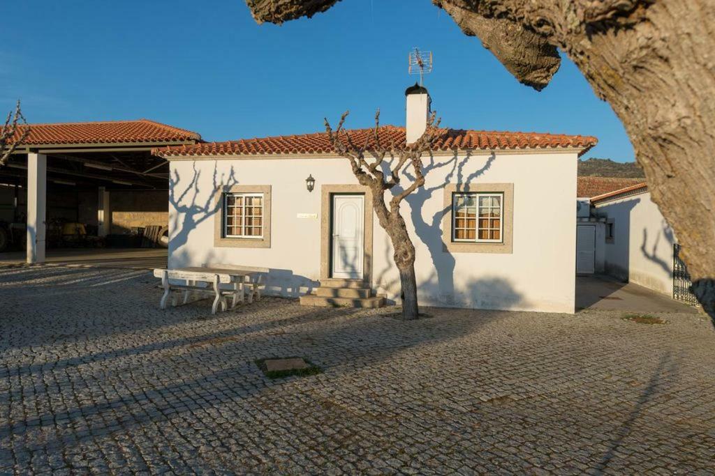 Quinta Sta Luzia Carrascal Villa Vila Flor Exterior photo